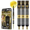 WINMAU Bobby George 24 gram Tungsten Darts Set with Flights