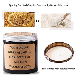 PMCDS2G Scented Candles Best Gift for Men & Women Birthday 14oz 100hour Long Burn Time Lavender Fragrance (Our Friendship is Like This Candle. IF You Forget ME I Will Burn Your House Down)
