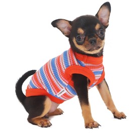 LOPHIPETS 100% Cotton Rib Dog Shirt Vest for Small Dogs Teacup Chihuahua Yorkie Puppy Clothes Tank Tee-Red/XXS