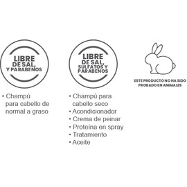 Shampoo con Aceite de Argán – Hidratante y Reparador para Cabello Seco o Dañado – Brillo, Suavidad y Control de Frizz – Uso Diario para Todo Tipo de C