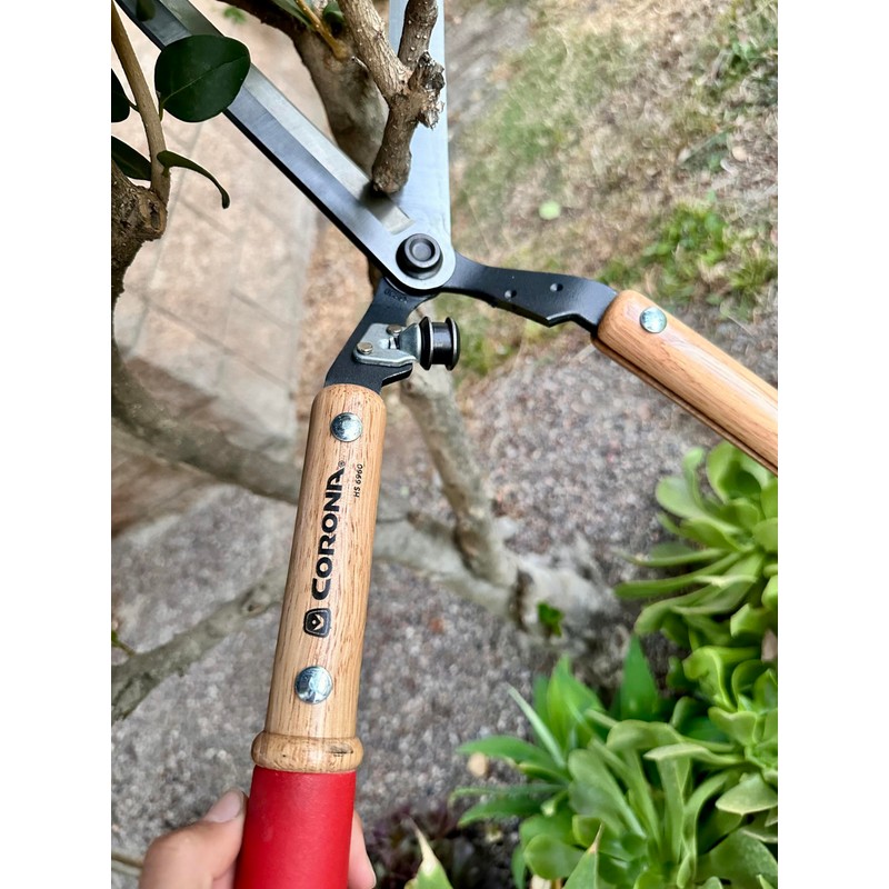 Corona HS 6960 Forged Hedge Shear, 10-Inch Blade