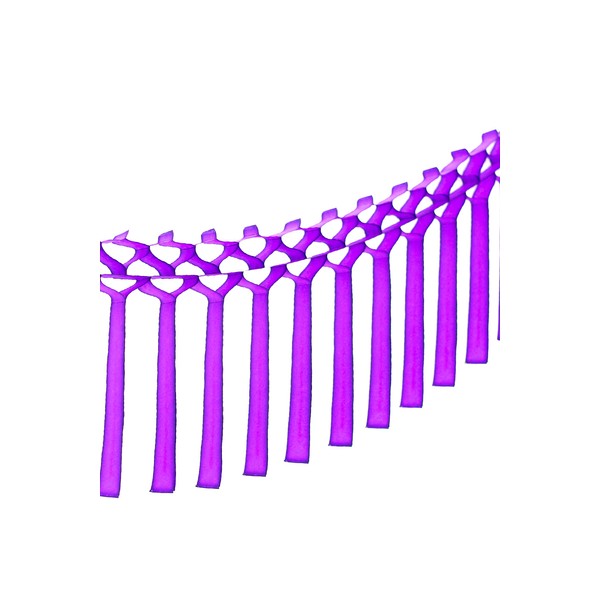 POP SOCIIAL - Violet Eco Friendly Tissue Paper Streamer Garland