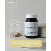 MoleQlar MoleQlar Rhodiola Rosea Kapseln 60 Stck - 500 mg