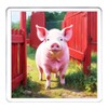 Pink Pig Coaster Set. 4 different Pig Pictures on 10cm
