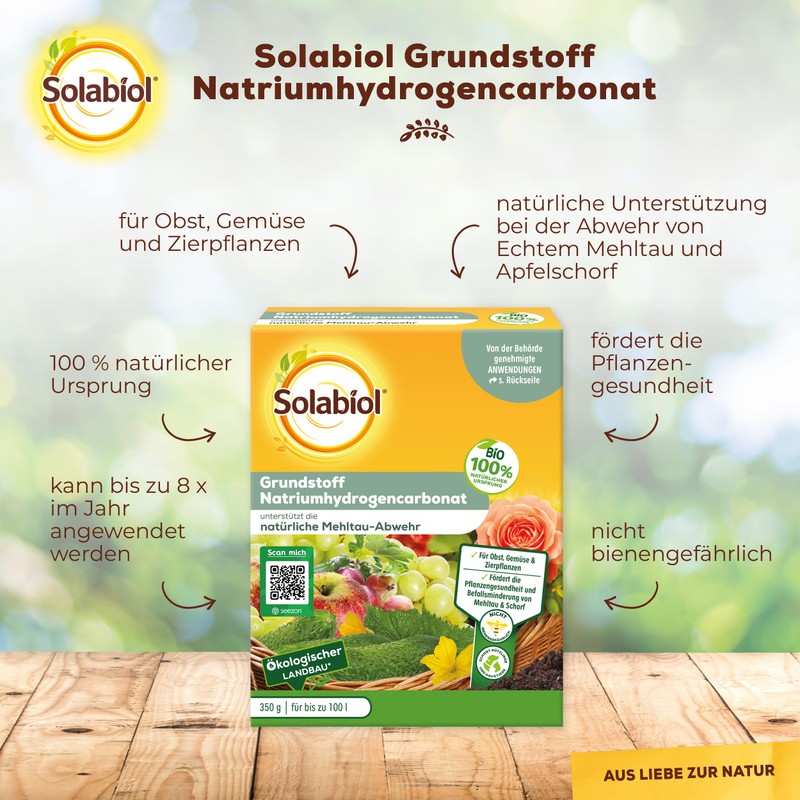 Solabiol Basic Material Sodium Hydrogen Carbonate, Natural Defence Against Fungal