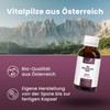 Bio Hericium Liquid Extract Highly Concentrated – Dual Extract on
