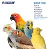 Pervue Pet Products Naturals Sound & Movement Crown Bird Toy,4"