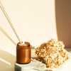 calary Candle Wick Trimmer, Candle Snuffer and Wick Dipper &