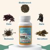 Maine Coast Sea Vegetables Seaweed Support Iodine Formula | Source