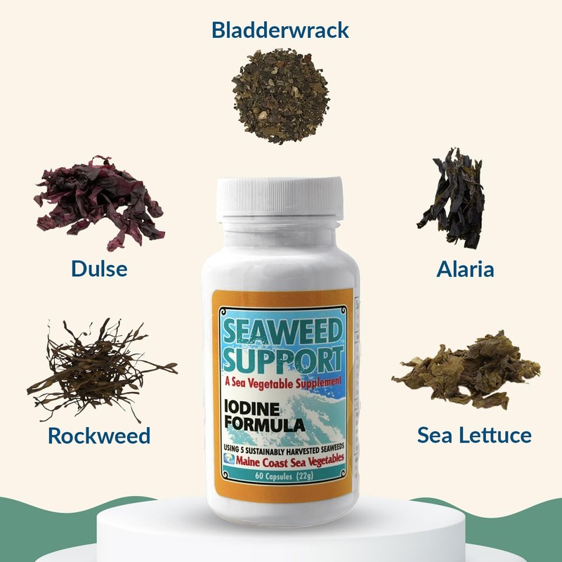 Maine Coast Sea Vegetables Seaweed Support Iodine Formula | Source
