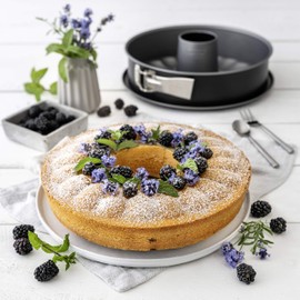 Zenker 6909 Springform mit Flach- und Rohrboden Ø 28 cm, energy, Silber