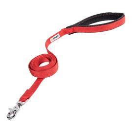 GOGO Pet Products 1-Inch Wide Comfy Nylon Dog Leash, 4-Feet Long, Red