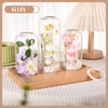 Bud Vases Set of 12 Clear Small Flower Vase in