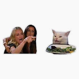 Leyland Designs Woman Yelling at A Cat Sticker Outdoor Rated Vinyl Sticker Decal for Windows, Bumpers, Laptops or Crafts 5"