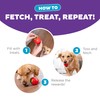 Outward Hound by Planet Dog Foodies Strawberry Treat-Dispensing Dog Chew