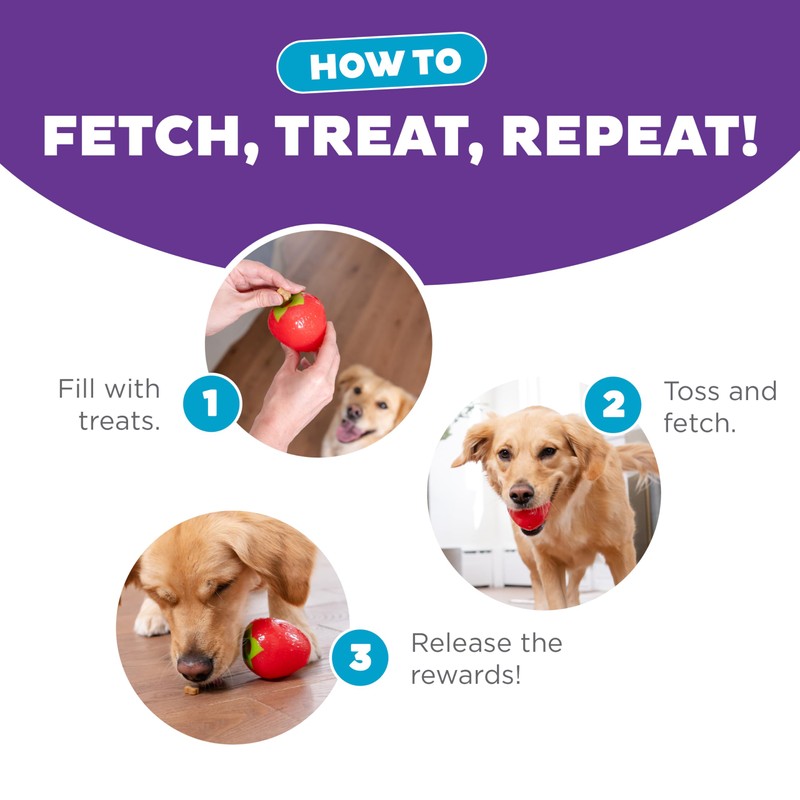 Outward Hound by Planet Dog Foodies Strawberry Treat-Dispensing Dog Chew