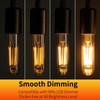 Decoaui E26 T10 LED Light Bulbs, 5 Inch Vintage Tubular