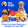 The Dodo Cork Dog Collar, Red Dodo Print; Size Large;