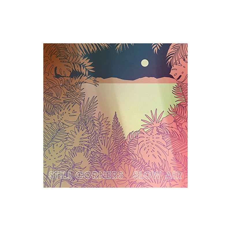 Slow Air [VINYL]