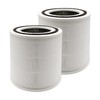 Flintar 2-Pack of AP005 H13 True HEPA Replacement Filter, Compatible