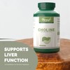 VORST Choline Bitartrate 410mg Per Serving 180 Vegan Capsules |