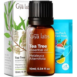 Gya Labs Aceite esencial de árbol de té para el cuidado de la piel y el cuidado del cabello, tópico para piel grasa, cuero cabelludo seco, uñas saludables, difuso para purificar el aire, 100 puro aceite de árbol de té de grado terapéutico para el cabello, 10 ml