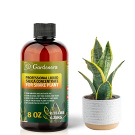 𝐏𝐑𝐄𝐌𝐈𝐔𝐌 Liquid Silica Plant Supplement - 8oz (250mL) - Snake Plants Liquid Silica Boost Fertilizer - Stronger Stems & Healthy Leaves for Indoor & Outdoor Snake Plants (Makes 45 Gallons)