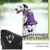 WINSEE Dog Harness No Pull, Pet Harnesses with Dog Collar,