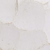 Carnac Resin Antique Animal Rabbit 03, White, 2.3 x 3.1