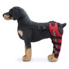Dog Leg Brace Elastic Safe Shockproof Pet Knee Pads with