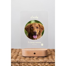 Generic Dog Memorial Plaque Dog Loss Sympathy Gift Dog Remembrance Gift Custom Pet Memorial Photo Frame Dog Passing Away Gift (ReDPV1)