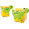 Dinosaur Arm Bands Intex