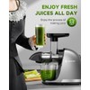 AMZCHEF ZM1501 Masticating Juicer with Quiet Motor, Cold press Juicer