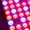 13W LED Grow Light Full Spectrum Panel Grow Lamp for