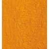 Global Spices Ground Turmeric 550g Jar