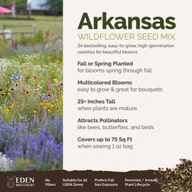 Eden Brothers Arkansas Wildflower Mixed Seeds for Planting, 1 oz, 30,000+ Seeds with African Daisy, Cosmos | Attracts Pollinators, Plant in Spring or Fall, Zones