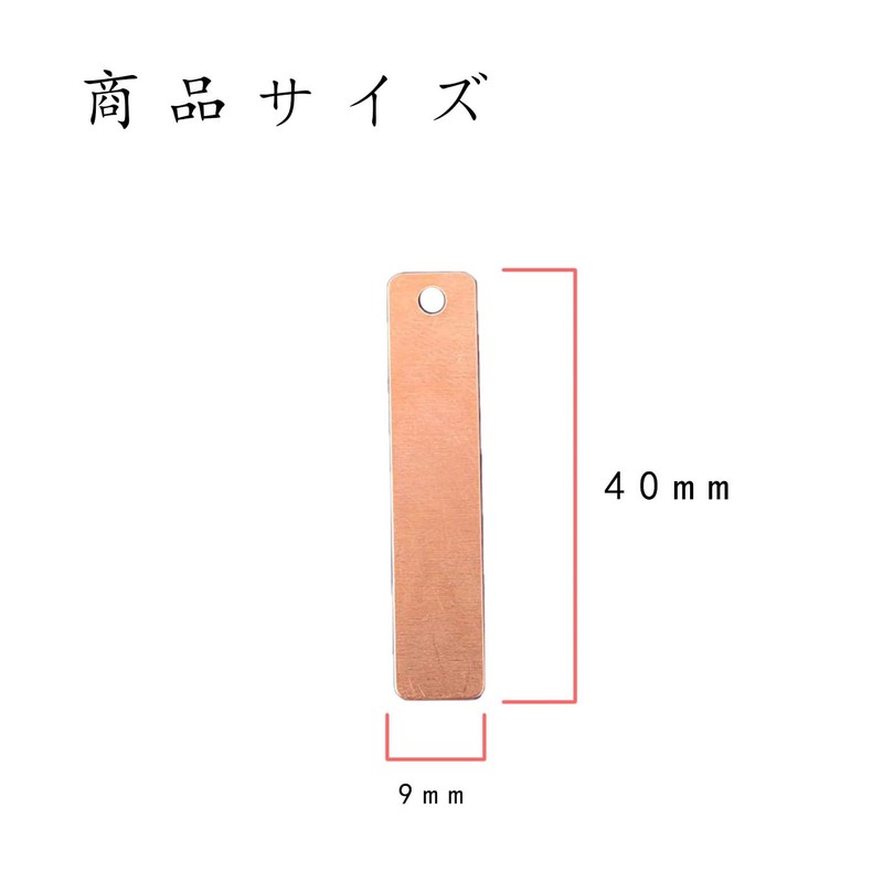 BRIIKPP 金属板 亜鉛板 銅板 果物電池用 小学生 中学生 理科 レモン電池 回路実験