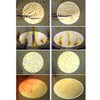 WELLDERMA Fitting Mask Pack 25g*4ea [Retinol Collagen/Cica Treatment Repair/PDRN Exosome
