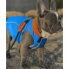 Gooby Sports Vest Dog Jacket - Blue, X-Large - Reflective