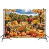 Fall Pumpkin Backdrop Autumn Haystack Hay Bale Maple Leaves Background