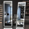Hasipu Full Length Mirror with Lights, 65" x 20" LED
