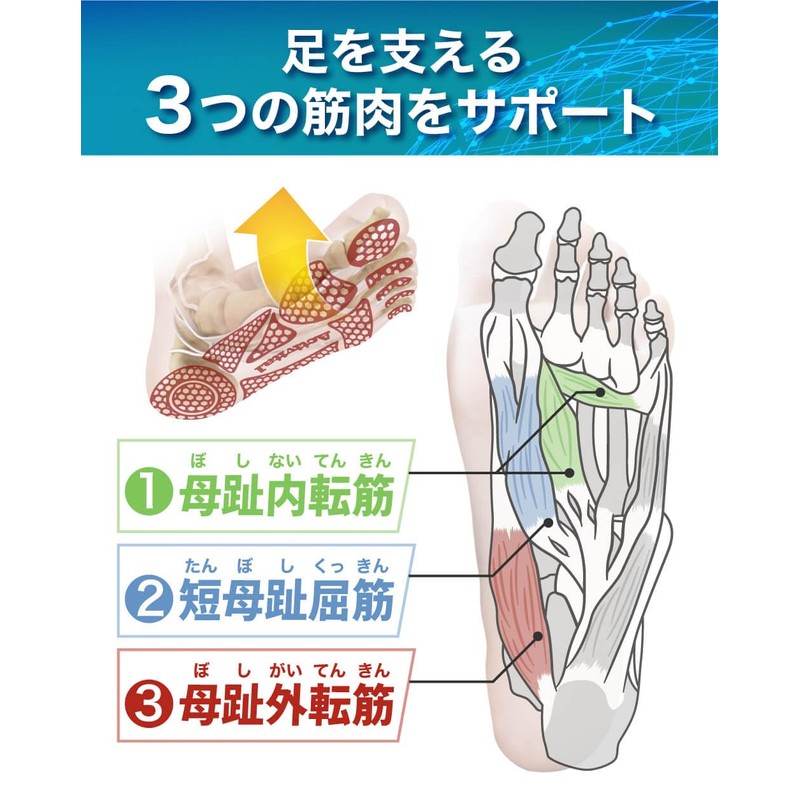 [Activital] Active Foot Supporter PRO Double X L-LL, 10.2-11.4 inches