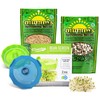 Masontops Bean Screen Sprouts Growing Kit - Sprouting Lids &