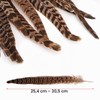 MWOOT Pack of 20 Pheasant Feathers, 25-30 cm / 10-12