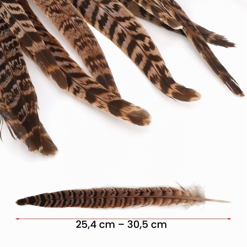MWOOT Pack of 20 Pheasant Feathers, 25-30 cm / 10-12