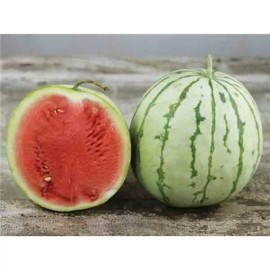 Southeast Seeds Dixie Queen Watermelon Seeds, Cuban Queen, NON-GMO, Crimson, Heirloom, FREE SHIP - 45 Seeds or 1/8 OZ