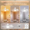Laybasic Deckenventilator mit Beleuchtung und Fernbedienung, Klein LED Dimmbare Deckenleuchte