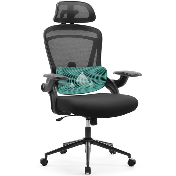 Ergonomic Mesh Office Chair, High Back Desk Chair with 2D