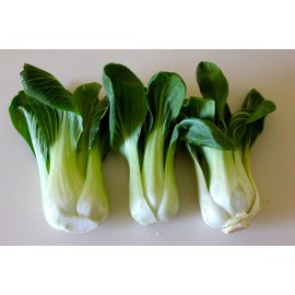 TOY CHOY * MINI BABY CHOI * TENDER * STIR FRY * EXCEL FLAVOR * WELL IN HOT TEMPS