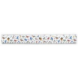 Northeastern Birds Pattern 12 Inch Standard and Metric Plastic Ruler